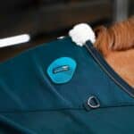 Kentucky Horsewear - Couverture Magnétique Recuptex Marine – Image 2