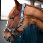 Kentucky Horsewear - Licol Anatomique En Suédine Gris – Image 2