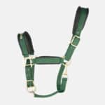 Back On Track - Licol En Nylon Werano Vert