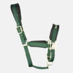 Back On Track - Licol En Nylon Werano Vert – Image 2