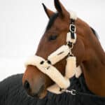 Kentucky Horsewear - Licol Mouton Blanc – Image 2