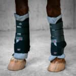 Veredus - Stable boots Front Aerox Noir – Image 2