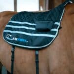 E.zihorse - Tapis de Massage Vibrant et Chauffant Back Confort Noir – Image 2