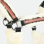 Pénélope Store - Licol mouton confort blanc – Image 2