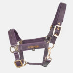 Eskadron - Licol Classic Sports Double Pin Satin Crystal Violet