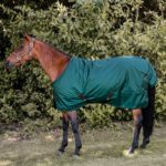 Kentucky Horsewear - Couverture imperméable All Weather pro 160g vert Sapin – Image 2
