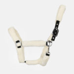 Flags & Cup - Licol de Transport Mouton Blanc