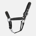 HFI - Licol en Cuir Grooming Noir